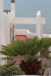Casa Vacanze Elianto