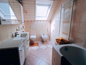 Blumental apartment, garden, AC