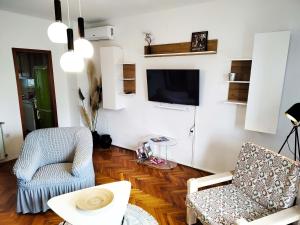 Spacious apartment QuAdria near Motovun