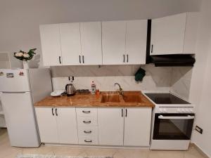 Shkodra City Center Apartment Nr 6