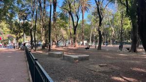 Condesa Residence Campeche 11 Exceptional 2BR, 1BA Apartment with Grand Living Space