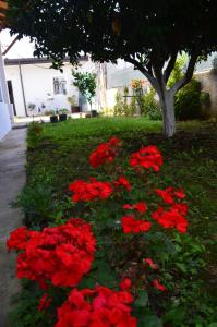 Rustic Tale Guesthouse