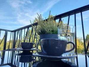 Apartman Živković 20 - Divici