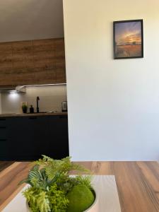 Apartman Živković 20