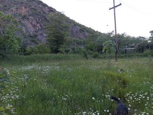 Georgia camping ground - campsite and glamping Ateni Sioni