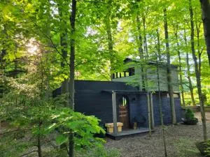 Black Pine Tree House - Acton
