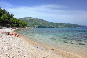 Apartments by the sea Orebic, Peljesac - 22898