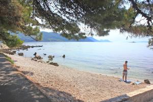 Apartments by the sea Orebic, Peljesac - 22898