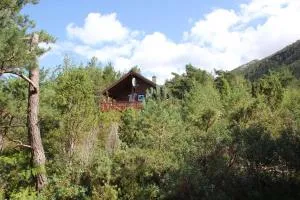 Fjordhytte-38 bei Rosendal am Hardangerfjord - Haugen