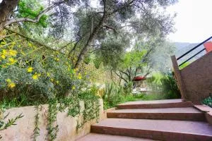 Farm Ikalimo - Timalizèn