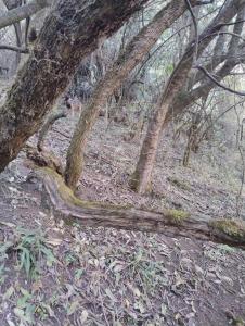 Tlali Nantli Ecoturismo