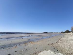 Maisons de vacances Maison 6 pers, 600m plage, jardin, barbecue, parking - FR-1-639-92 : photos des chambres