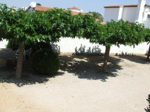 VISTA BAHIA 23 - Apartamento en primera línea de mar a pocos metros del centro de Empuriabrava con aparcamiento. - ES-228-183