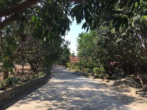 The poolhouse at McKirdys mango farm