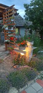 An-Du resort Stara Moravica 2