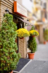 Superior One-Bedroom Apartment room in Boutique Apart-Hotel Sherborne