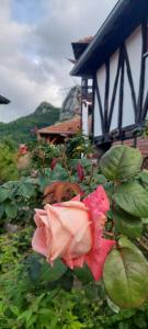 Golemi kamik Pirot Vlasi 4