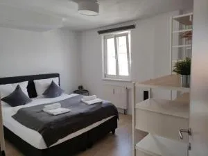 Wilten 11 - مترز