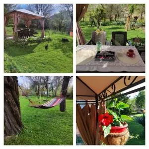 Guest house Charodea - Žeravna