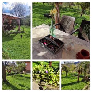 Guest house Charodea