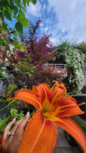 A Cheerful villa with free parking space