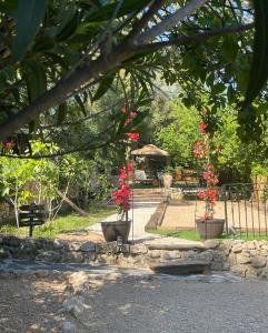 Lodges Magnifique Chalet avec jacuzzi 2P Mougins : photos des chambres