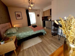 Appartements L' Ecrin de Jade : photos des chambres