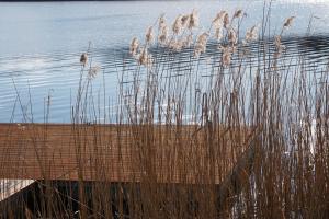 Domek Wikno 3 Woda i Las