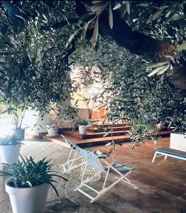 Pugliamandia - Macchia di Monte