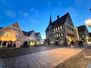 Bietigheim-Bissingen Studios, Zimmer und Appartement's - 恩茨河畔法伊欣根