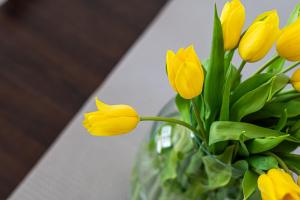 Nova Letnica 2 - BillBerry Apartments