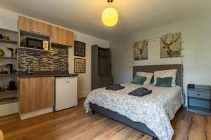 Appartements Le cosy * Charmant * Studio : photos des chambres