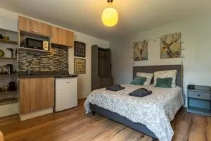 Le cosy * Charmant * Studio - La Fillotte