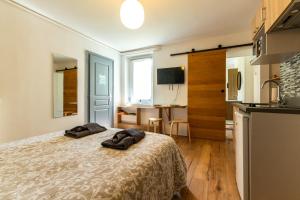 Appartements Le cosy * Charmant * Studio : photos des chambres