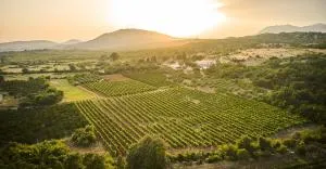 Bungalovi Spahic - Ambula