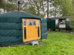 Flower Power - Oudesluis