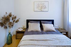 Kalnina street studio Apartment