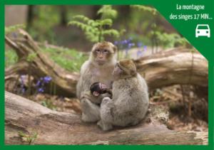 Appartements Le Bottier Alsacien : photos des chambres