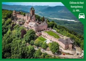 Appartements Le Bottier Alsacien : photos des chambres