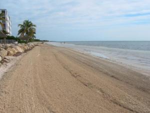 Garden Oasis with Ocean Views, Pool & Beach #27
