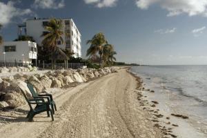 Garden Oasis with Ocean Views, Pool & Beach #27