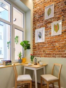 Crocus narrow studio Kochanowskiego