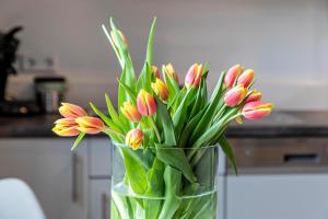 Ferienwohnung Am Weissgerber