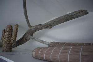 maisonnette au grau d agde proche de la plage