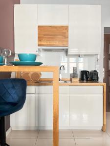 Well-connected Apartment in Old Town Cracow