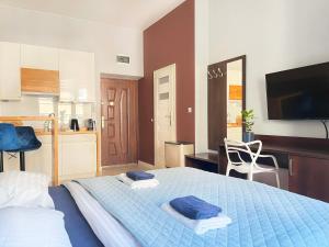 Well-connected Apartment in Old Town Cracow