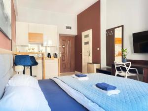 Well-connected Apartment in Old Town Cracow