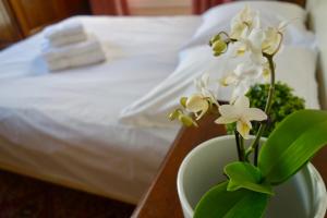 55 m2 apartment very quiet close to the Eiffel Tower