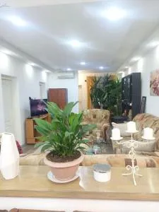 Mandarina lux apartments - Kneževac