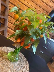 Very lovely Old Down place close to Castle